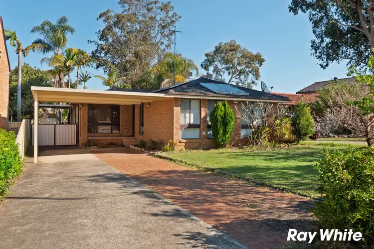 113 Cowper Circle, Quakers Hill NSW 2763