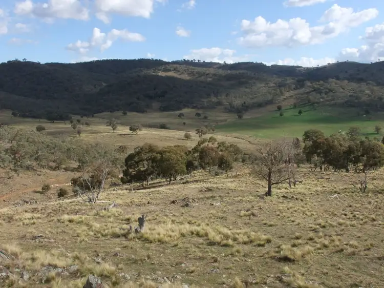 2661 The Bridle Track, Bruinbun NSW 2795