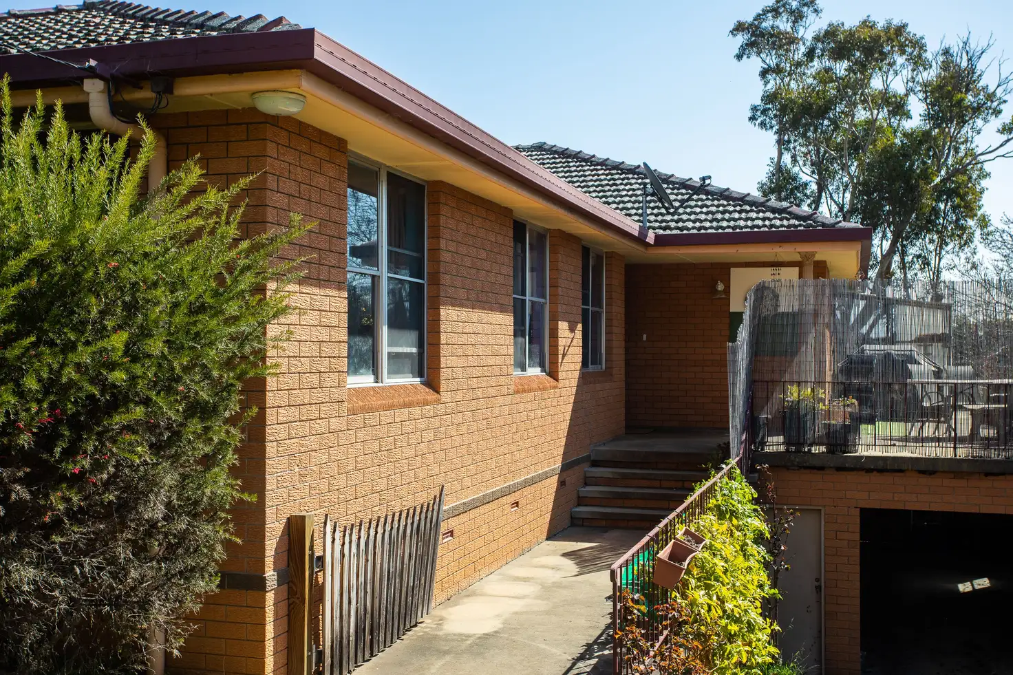Main view of Homely house listing, 8 Proctor Street, Armidale NSW 2350