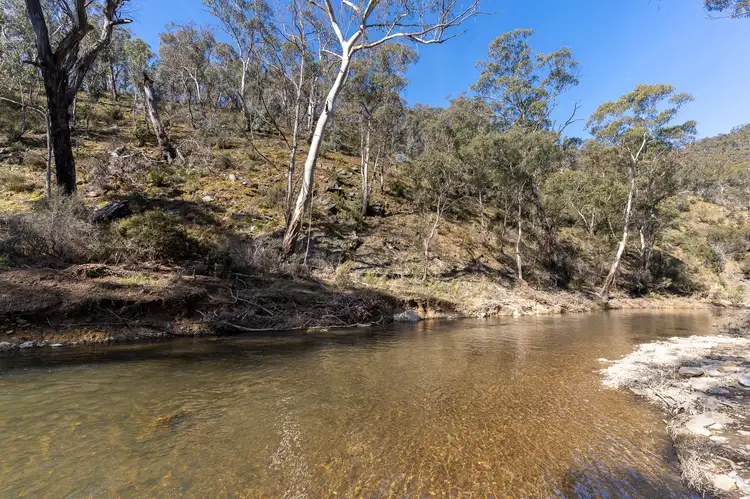 Main view of Homely rural property listing, 377 Sheepstation Forest Road, Gingkin NSW 2787