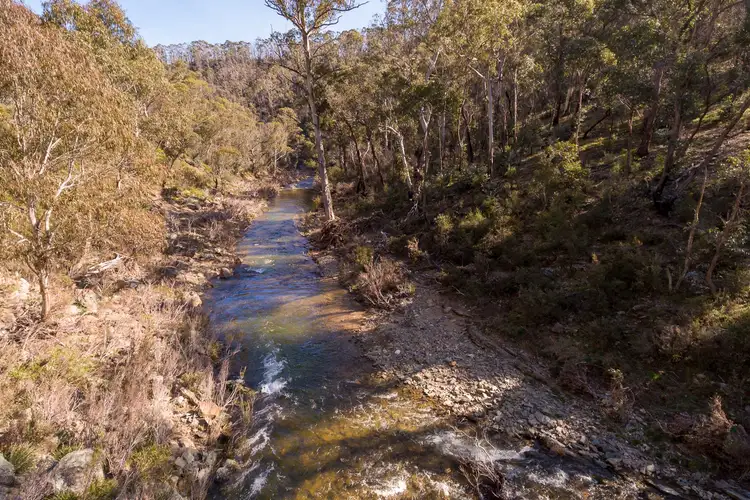 Fifth view of Homely rural property listing, 377 Sheepstation Forest Road, Gingkin NSW 2787