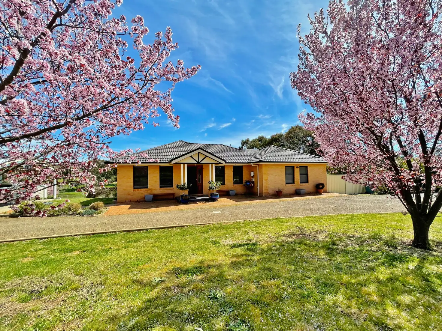 Main view of Homely house listing, 4515 Olympic Highway, Young NSW 2594