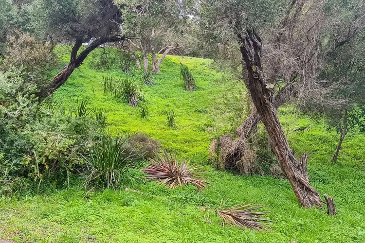 Seventh view of Homely land listing, 8 Carramar Street, Rye VIC 3941