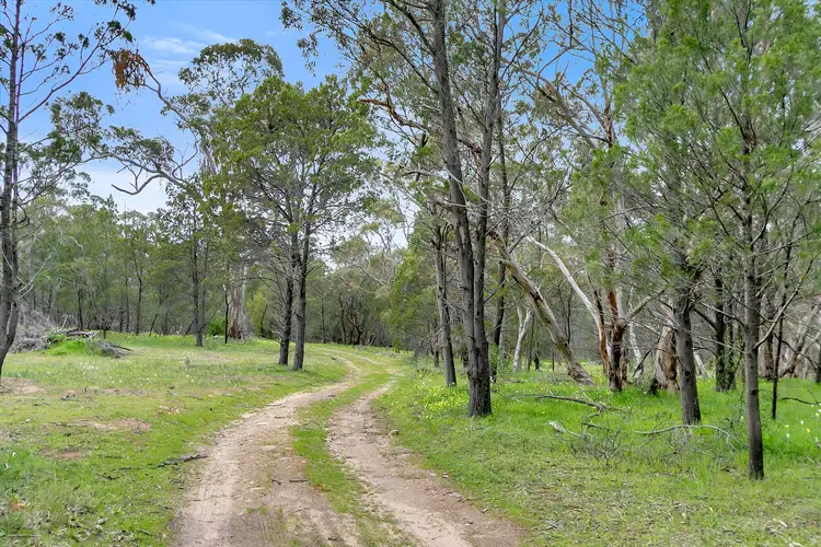 Third view of Homely land listing, 272 Kings Cutting Road, Lyndoch SA 5351
