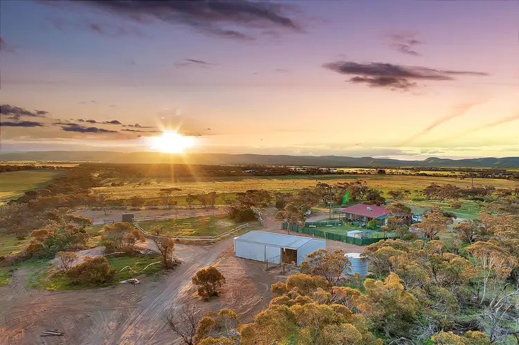 Main view of Homely rural property listing, 1599 Ridley Road, Angas Valley SA 5238