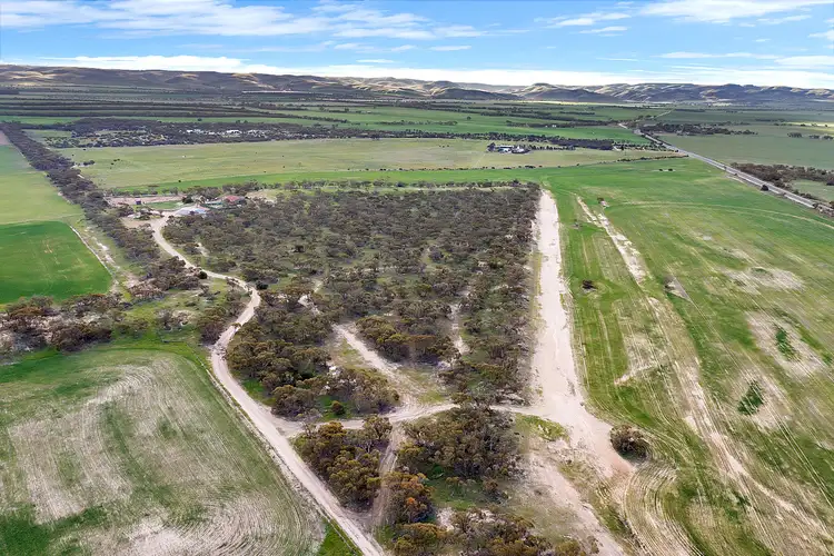 Sixth view of Homely rural property listing, 1599 Ridley Road, Angas Valley SA 5238