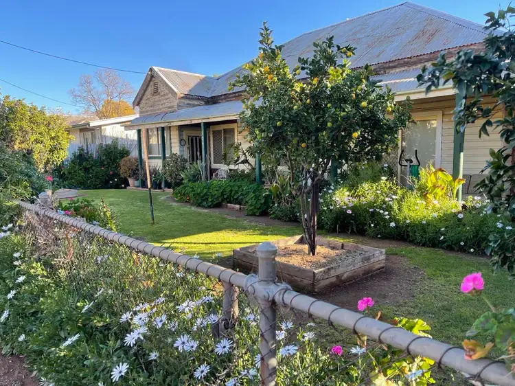 104 Derribong Street, Peak Hill NSW 2869