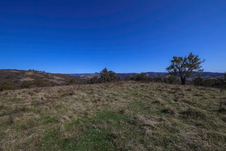 Fifth view of Homely rural property listing, 'Rutherglen' Limbri-Weabonga Road, Weabonga NSW 2340