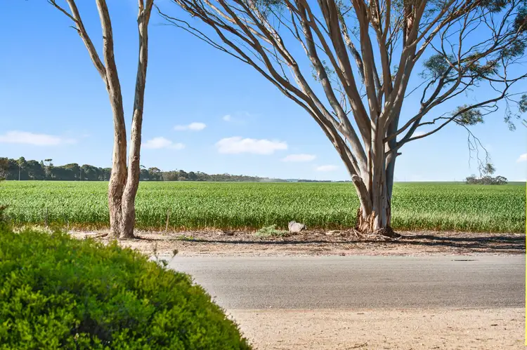 Second view of Homely house listing, 17 North Terrace, Maitland SA 5573