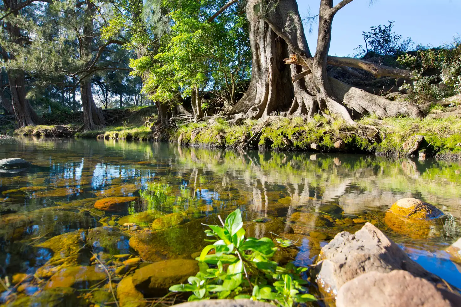 Main view of Homely rural property listing, 987 Jamberoo Road, Curramore NSW 2533