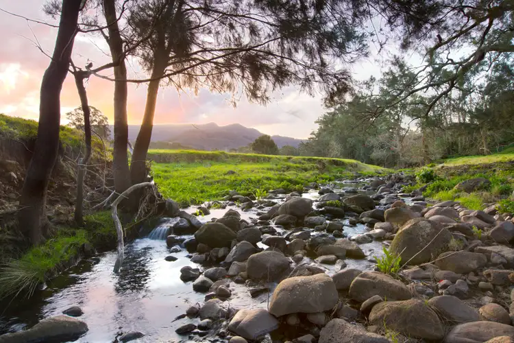 Second view of Homely rural property listing, 987 Jamberoo Road, Curramore NSW 2533