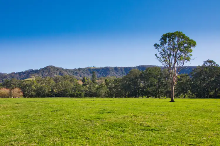 Sixth view of Homely rural property listing, 987 Jamberoo Road, Curramore NSW 2533