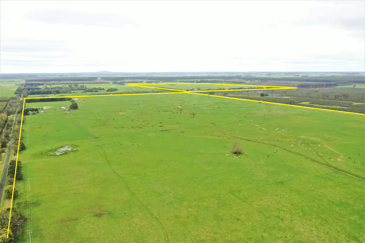 Main view of Homely rural property listing, 1132 Codrington-Bessiebelle Road, Bessiebelle VIC 3304