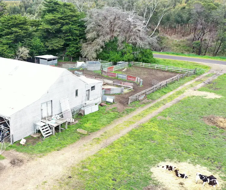 Fifth view of Homely rural property listing, 1132 Codrington-Bessiebelle Road, Bessiebelle VIC 3304