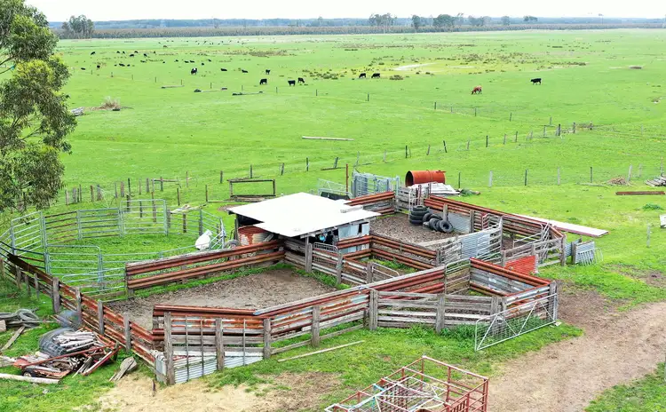 Sixth view of Homely rural property listing, 1132 Codrington-Bessiebelle Road, Bessiebelle VIC 3304