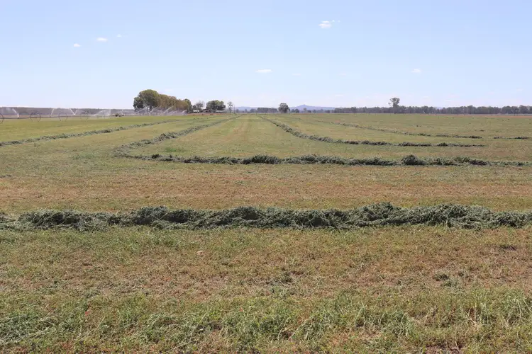 Main view of Homely rural property listing, 553 Airport Road, Monto QLD 4630