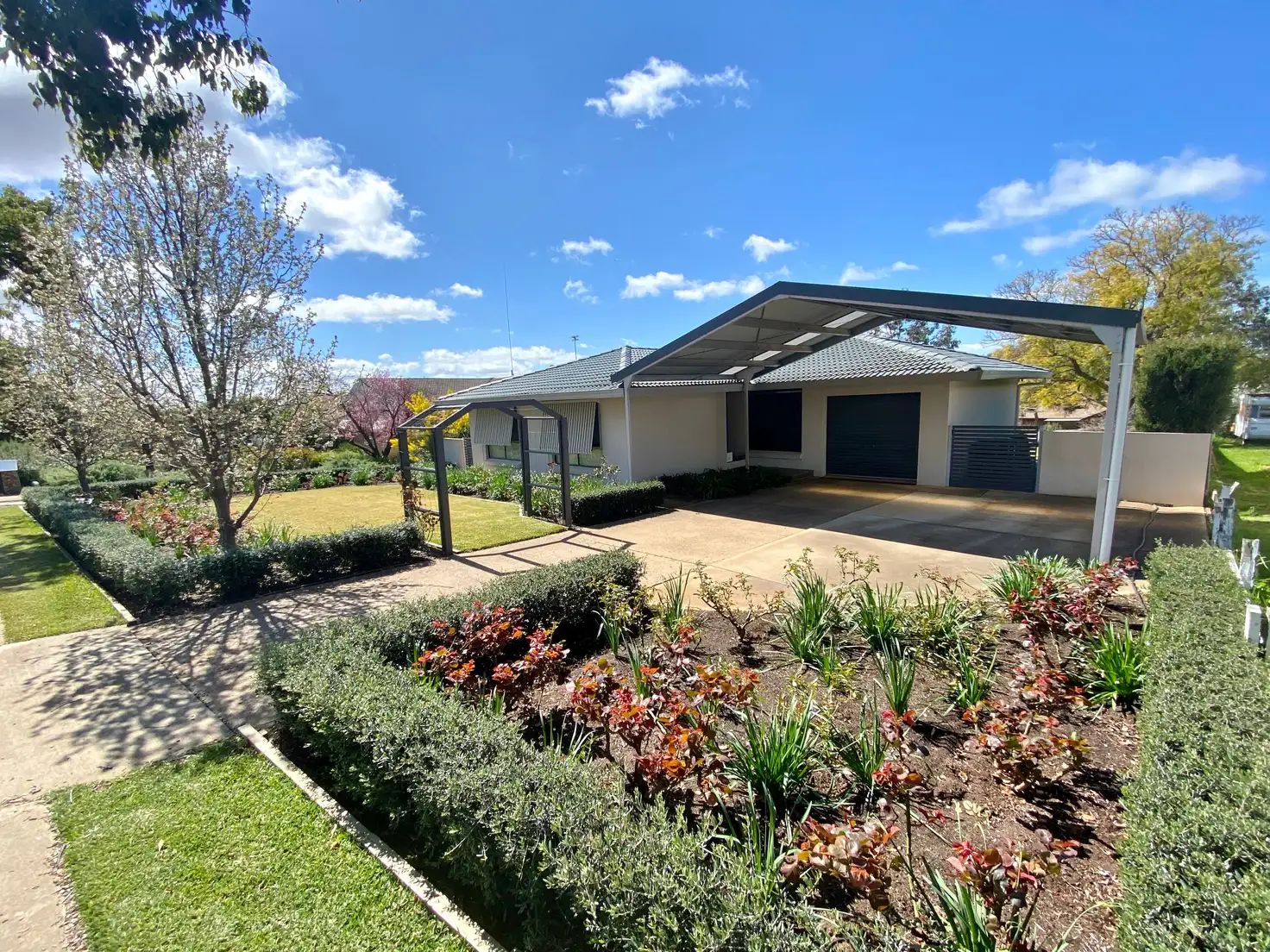 Main view of Homely house listing, 12 Back Creek Road, Young NSW 2594
