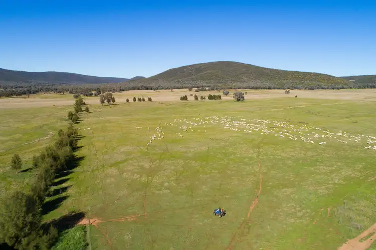 Spring Mount' Crowther Road, Gooloogong NSW 2805
