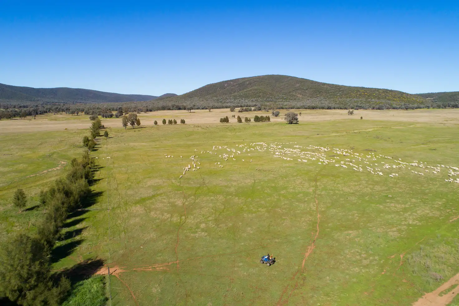 Main view of Homely rural property listing, Spring Mount' Crowther Road, Gooloogong NSW 2805