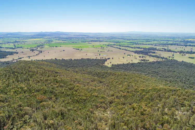 Second view of Homely rural property listing, Spring Mount' Crowther Road, Gooloogong NSW 2805