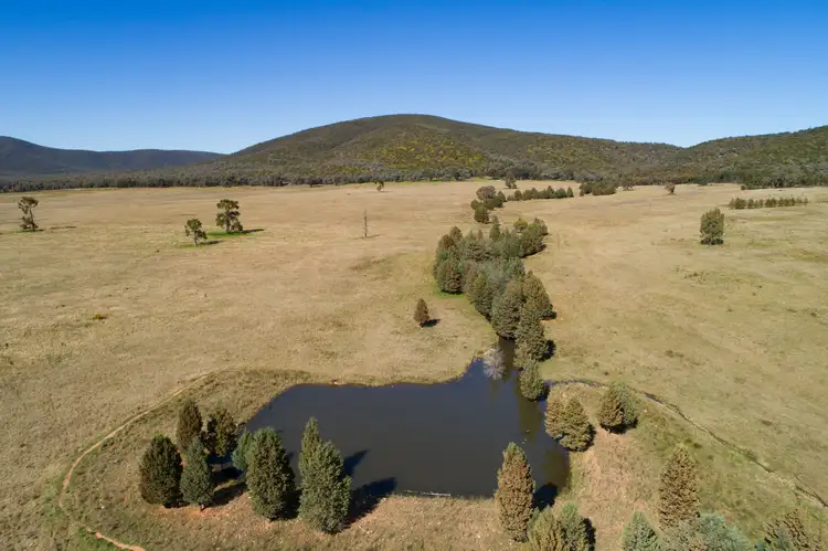 Third view of Homely rural property listing, Spring Mount' Crowther Road, Gooloogong NSW 2805