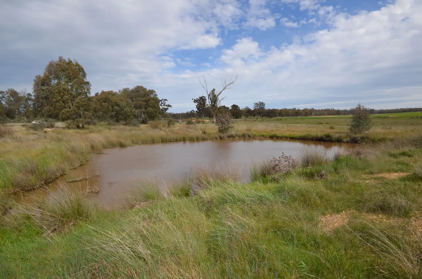 Main view of Homely rural property listing, CA 41 & 43 Sims Lane, Homebush VIC 3465