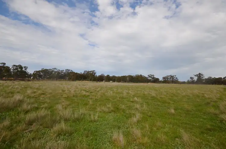 Second view of Homely rural property listing, CA 41 & 43 Sims Lane, Homebush VIC 3465