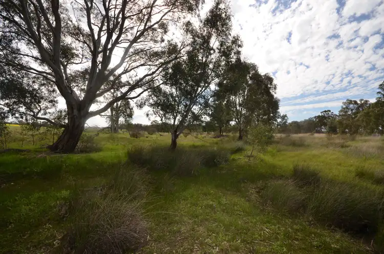 Third view of Homely rural property listing, CA 41 & 43 Sims Lane, Homebush VIC 3465