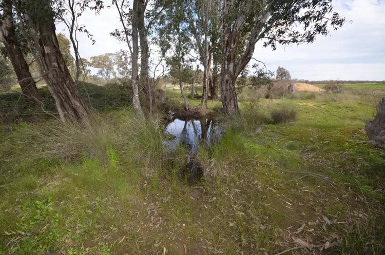 Fifth view of Homely rural property listing, CA 41 & 43 Sims Lane, Homebush VIC 3465