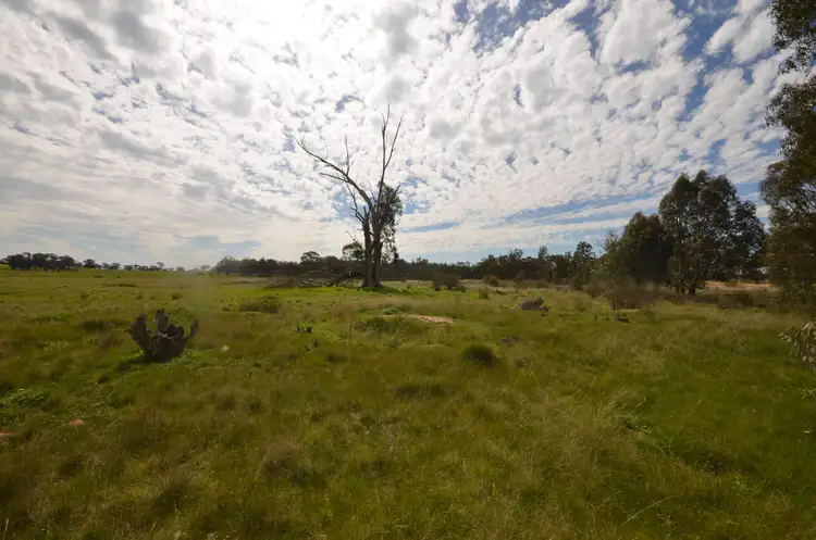 Seventh view of Homely rural property listing, CA 41 & 43 Sims Lane, Homebush VIC 3465