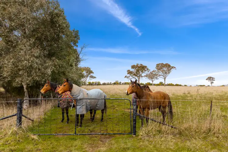 Fifth view of Homely land listing, 'Brumby Block' 266 Gooda Creek Road, Murrumbateman NSW 2582