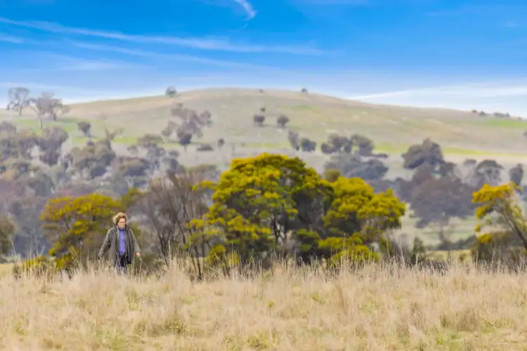 Sixth view of Homely land listing, 'Brumby Block' 266 Gooda Creek Road, Murrumbateman NSW 2582