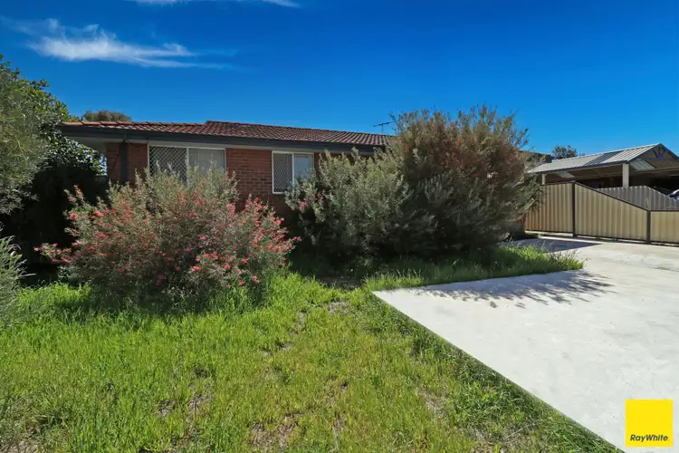 Main view of Homely house listing, 59 Woolgar Way, Lockridge WA 6054