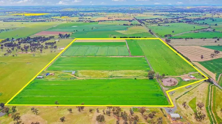 Fourth view of Homely rural property listing, 429 O'Donnell Road, Rochester VIC 3561