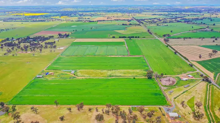 Fifth view of Homely rural property listing, 429 O'Donnell Road, Rochester VIC 3561