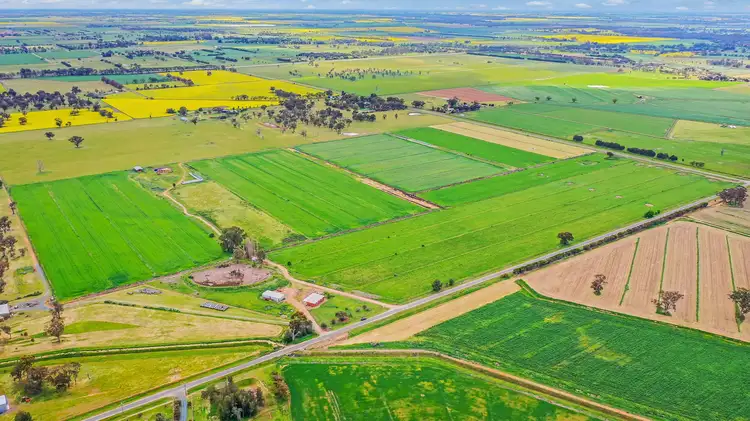 Sixth view of Homely rural property listing, 429 O'Donnell Road, Rochester VIC 3561