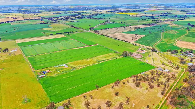 Seventh view of Homely rural property listing, 429 O'Donnell Road, Rochester VIC 3561