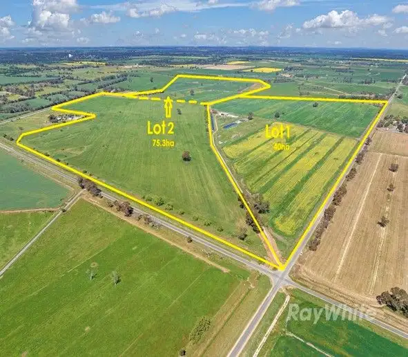 Main view of Homely rural property listing, 73 Stone Road, Rochester VIC 3561
