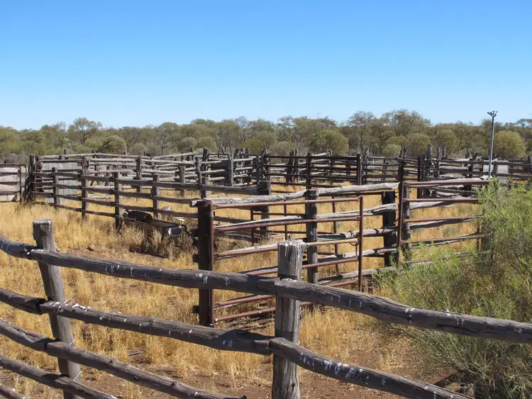 Seventh view of Homely rural property listing, Pingandy Station via Meekatharra, Meekatharra WA 6642