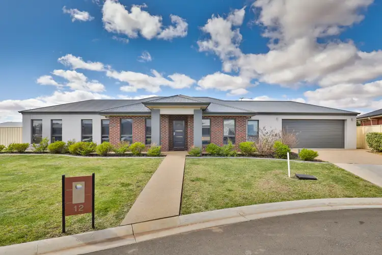 12 Kedmenec Drive, Mildura VIC 3500