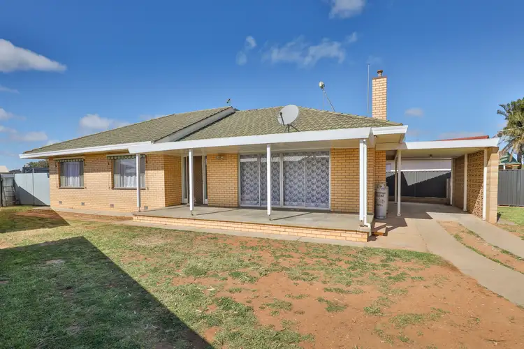 770 Karadoc Avenue, Irymple VIC 3498