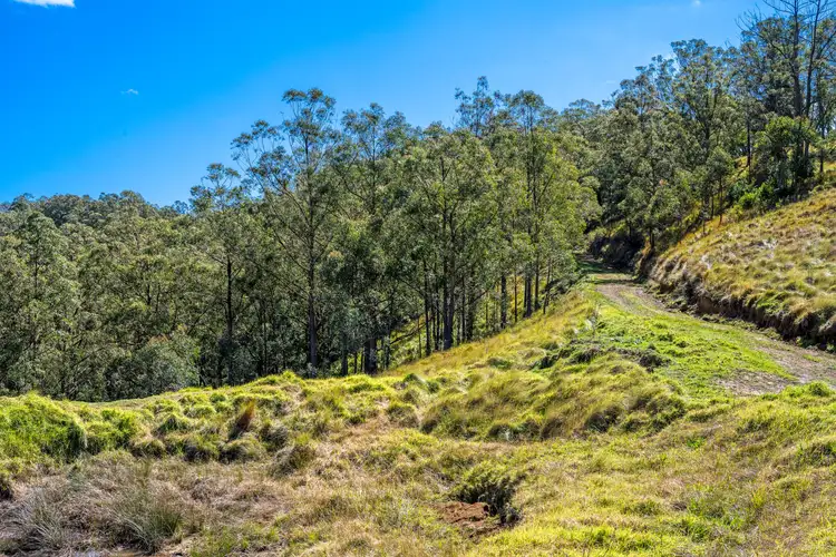 Main view of Homely rural property listing, 815 Goorangoola Creek Road, Singleton NSW 2330