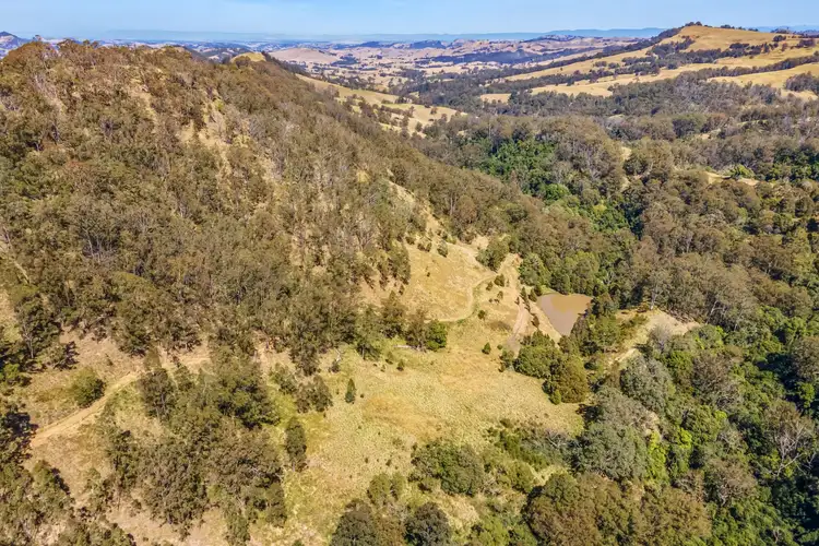Second view of Homely rural property listing, 815 Goorangoola Creek Road, Singleton NSW 2330