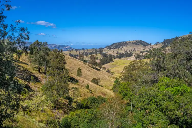 Third view of Homely rural property listing, 815 Goorangoola Creek Road, Singleton NSW 2330