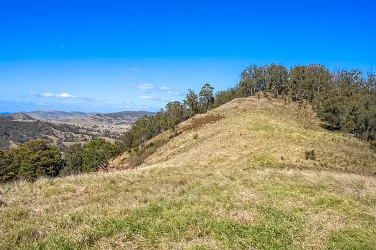 Sixth view of Homely rural property listing, 815 Goorangoola Creek Road, Singleton NSW 2330
