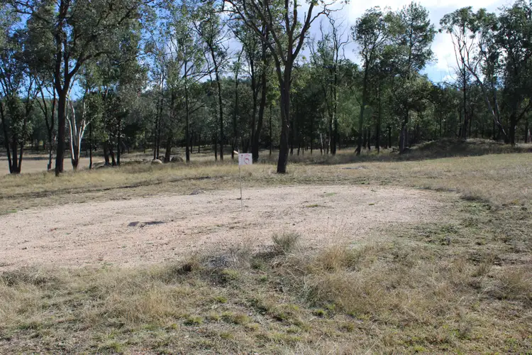 Sixth view of Homely rural property listing, 1671 Apple Tree Flat Road, Ashford NSW 2361