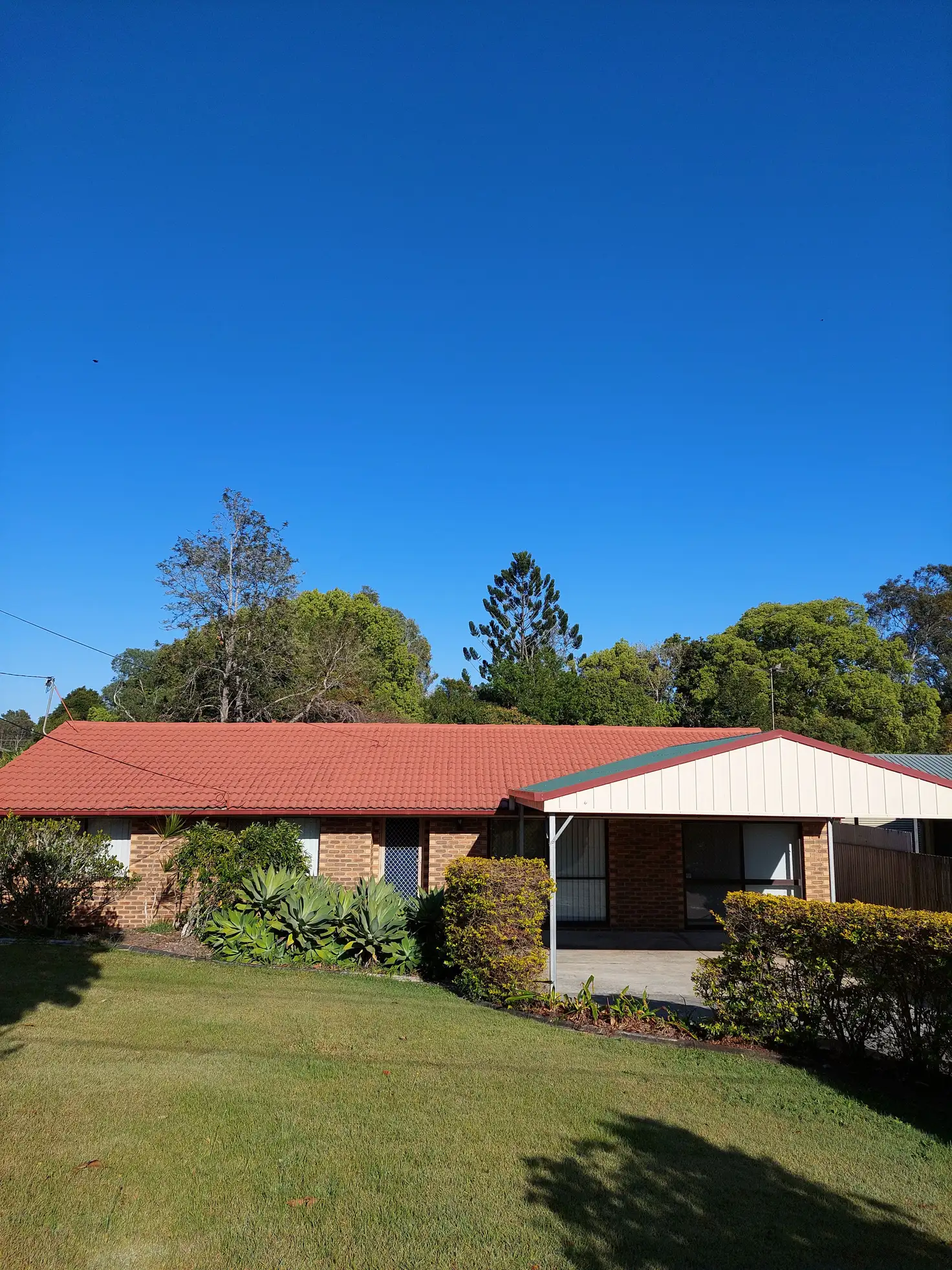 Main view of Homely house listing, 3 Conifer Street, Daisy Hill QLD 4127