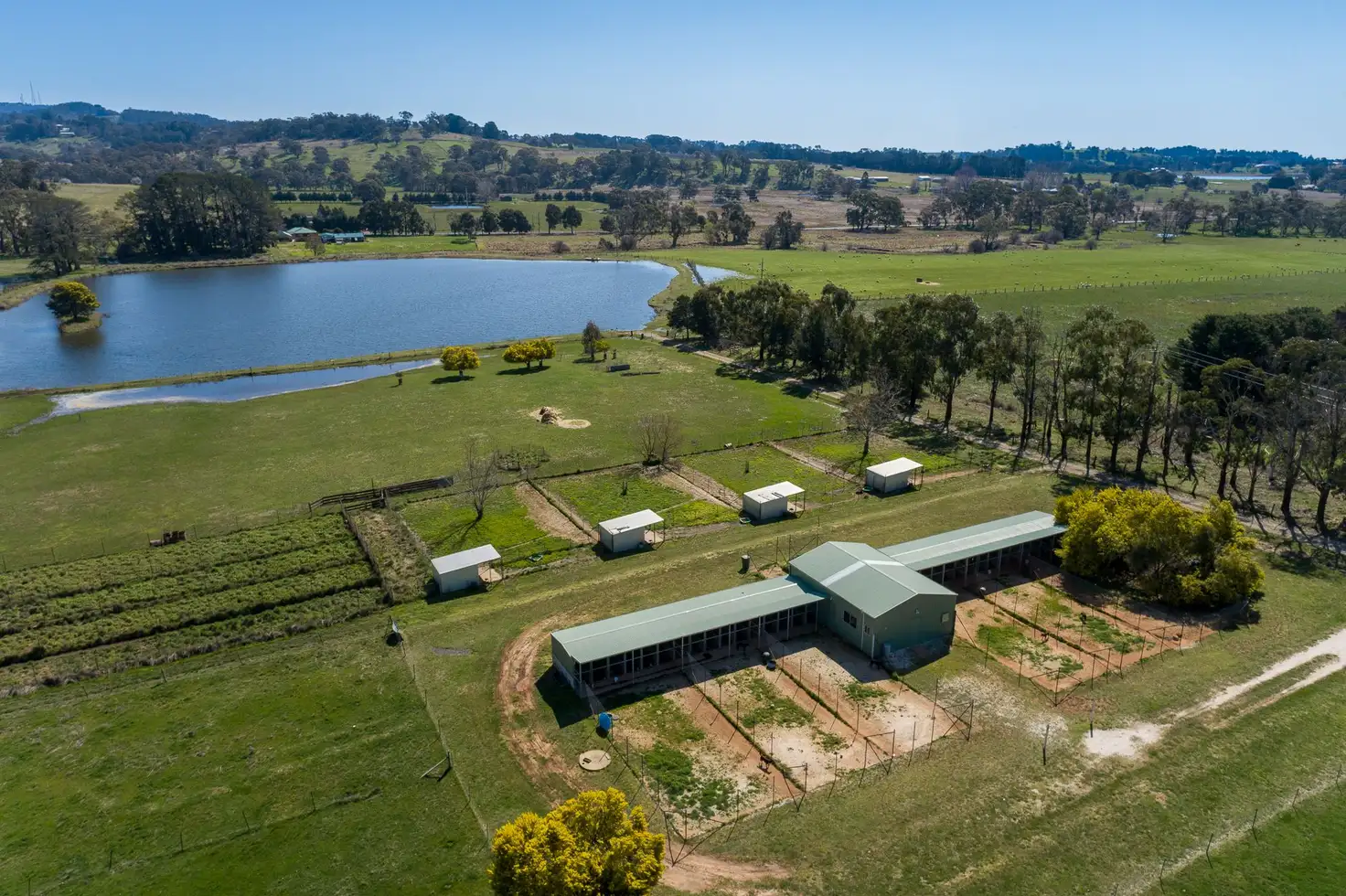 Main view of Homely rural property listing, 1155 Forest Road, Orange NSW 2800