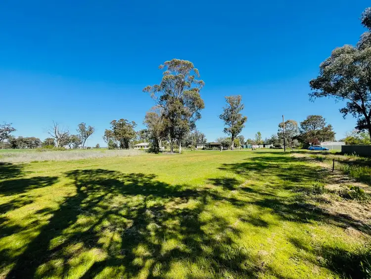 Seventh view of Homely land listing, 22 Glasson Street, Quandialla - near, Young NSW 2594