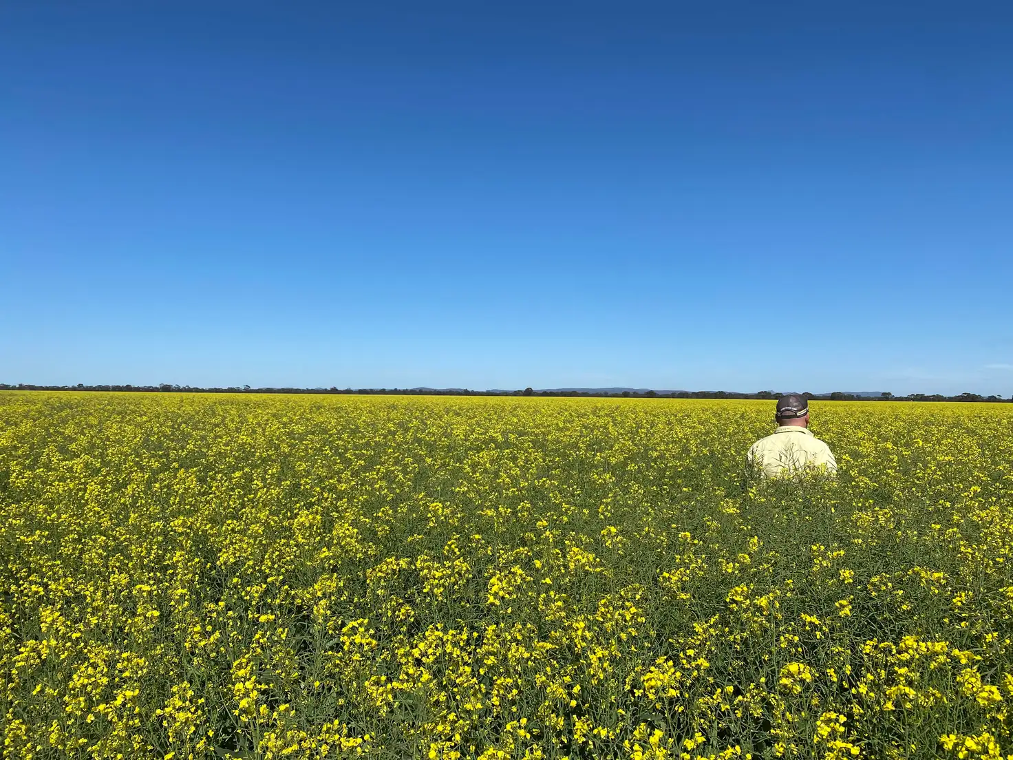 Main view of Homely rural property listing, 1 Thomas Lane, Lake Cargelligo NSW 2672